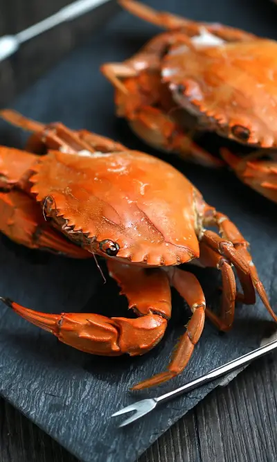 menu-sea-food-img2