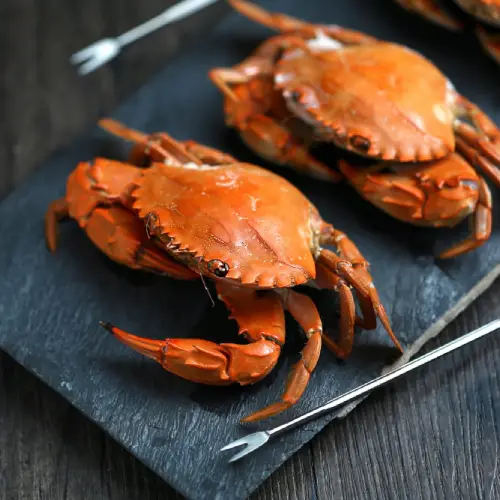 menu-sea-food-img8